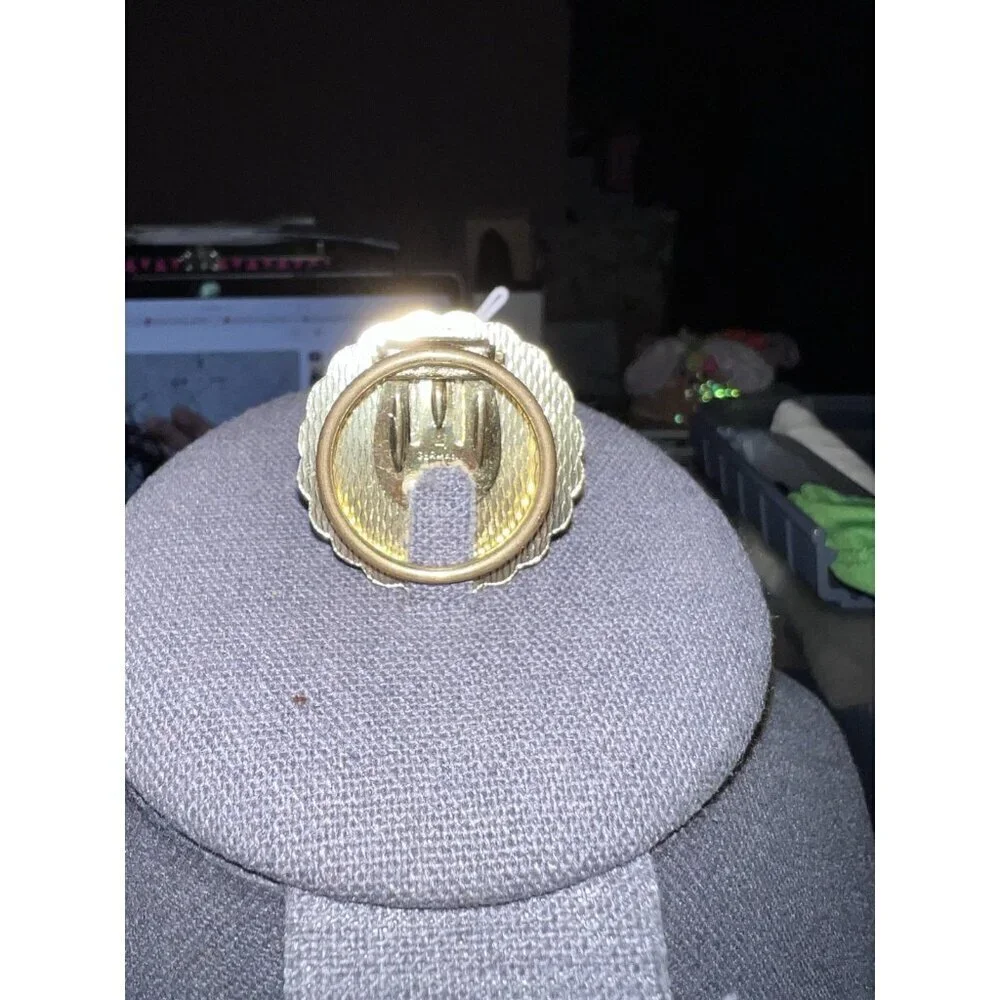 Vintage Cameo Costume Jewelry Scarf Clip Ivory Orange Goldtone W. Germany